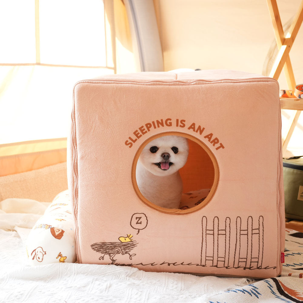 Peanuts Cube House