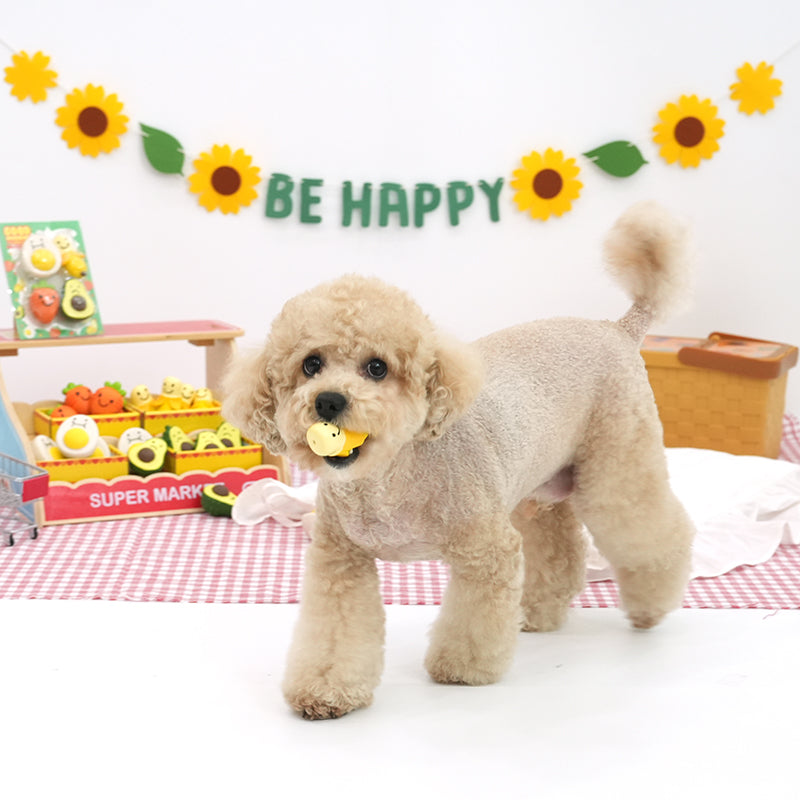 Good Morning Food Latex Toy