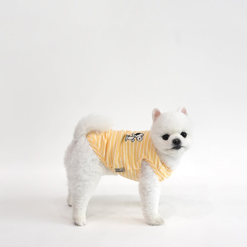Peanuts Color Stripe T