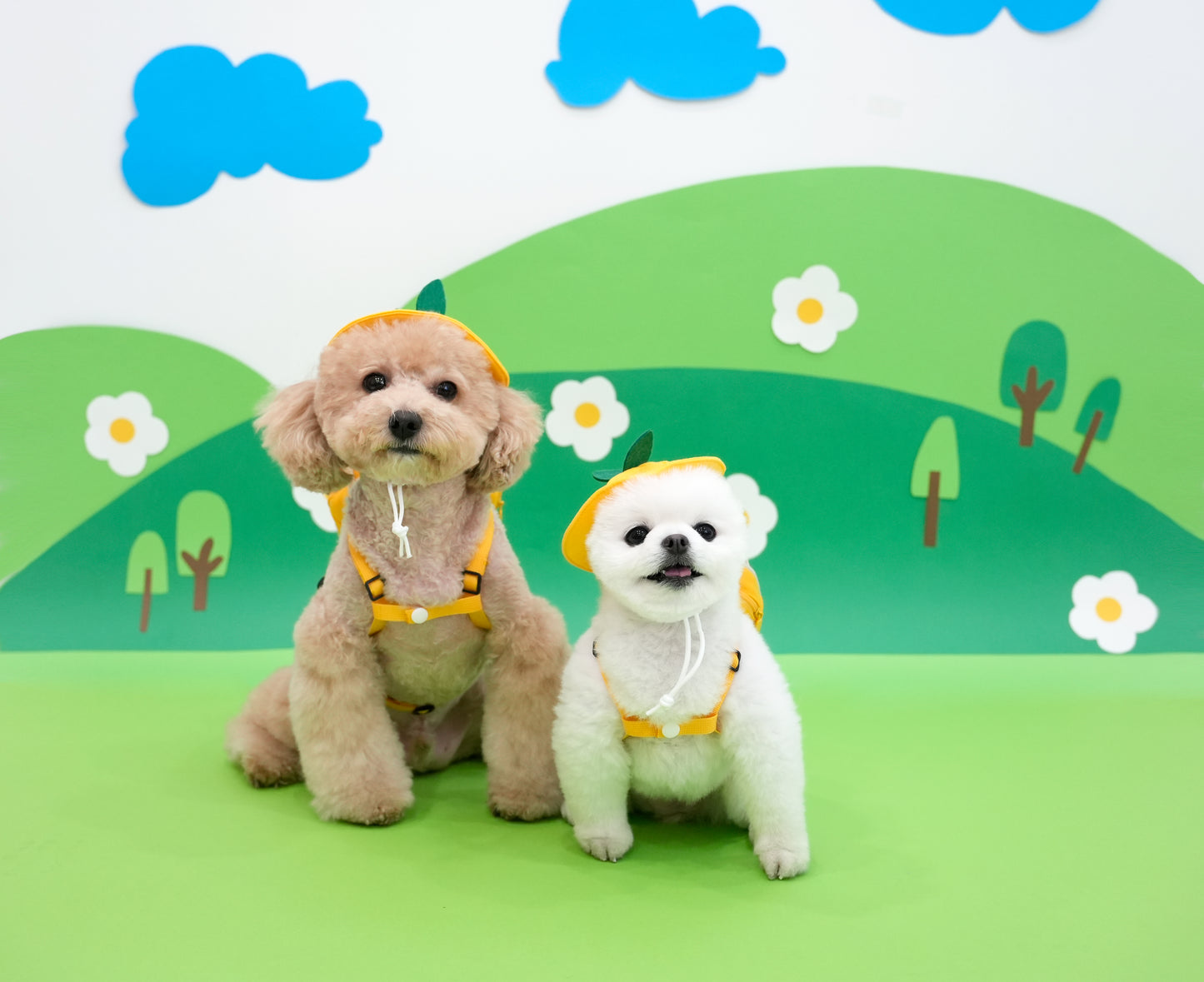 Kindergarten Backpack Harness Set