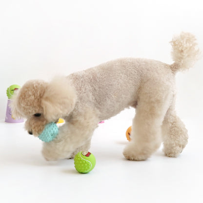 Peanuts Medium Ball Latex Toy