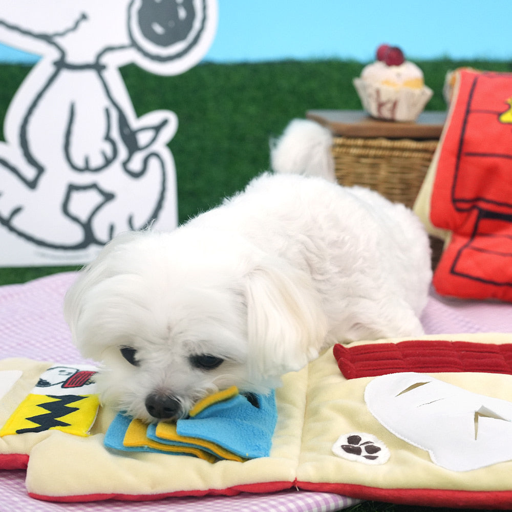 Peanuts Play Mat Toy