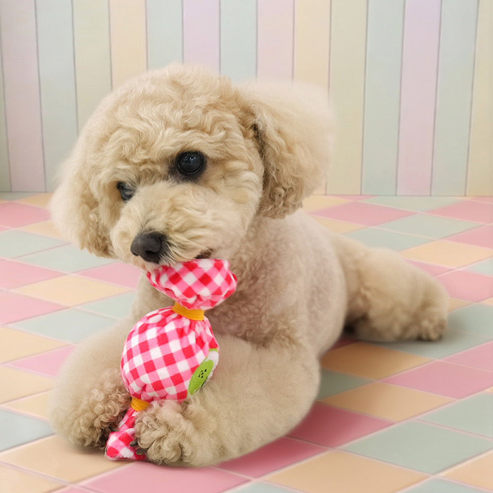 Fruits Candy Ball Toy