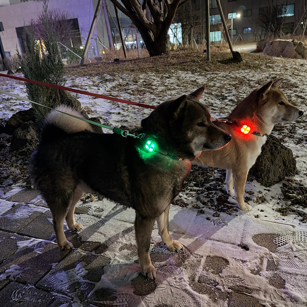 Peanuts Blinker