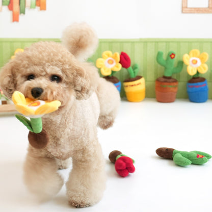 Gardening Snack Play Toy