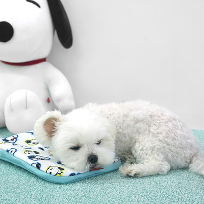 Peanuts Bubble Ice Cool Pouch