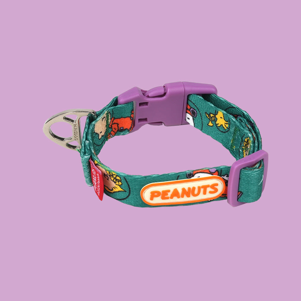 Peanuts Theme Collar