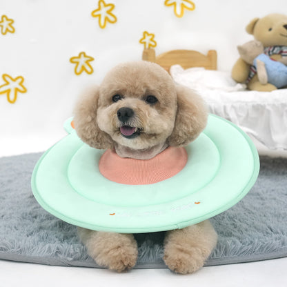 Bear Sponge Neck Collar