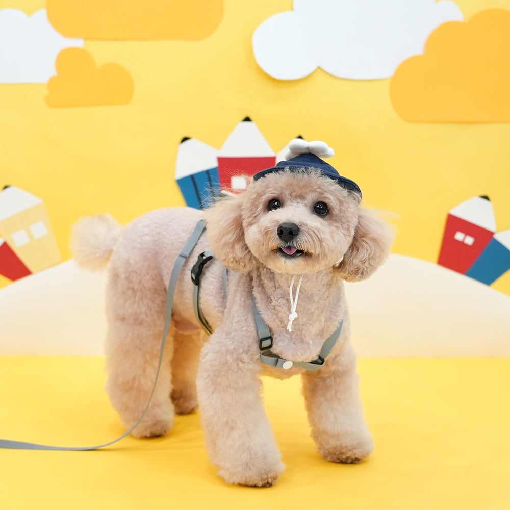 Academy Backpack Harness Set