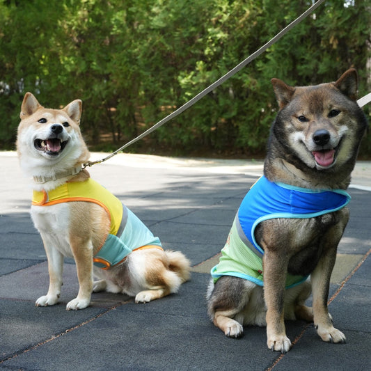 Peanuts Cool Outgoing Vest