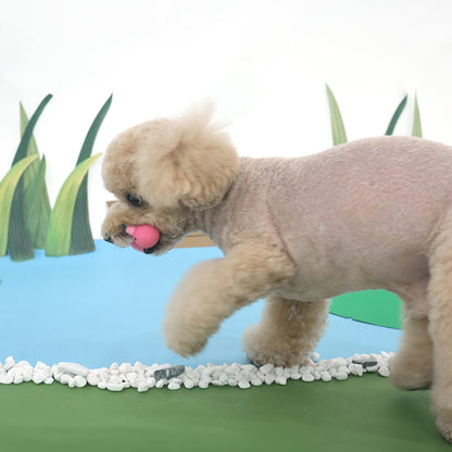 Natural Zoo Animal Latex Toy