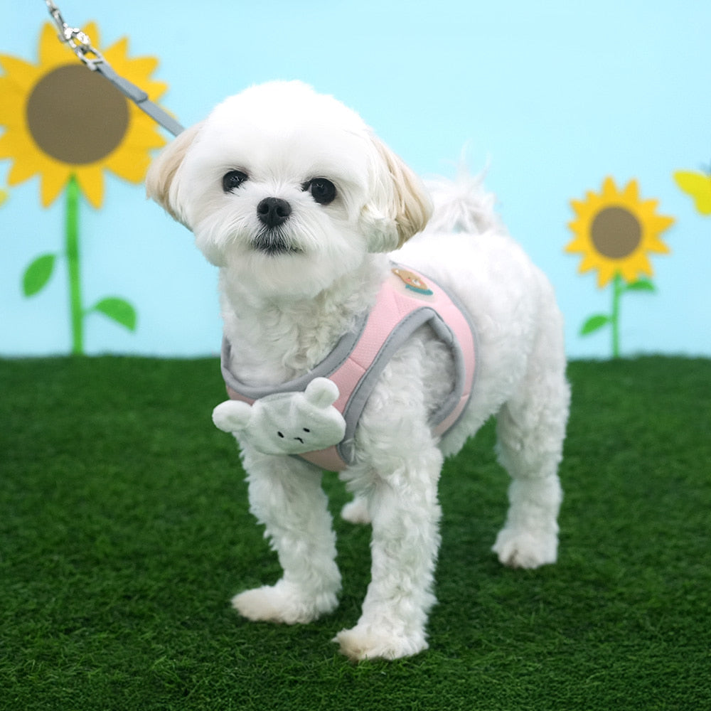 Soft Bear Harness