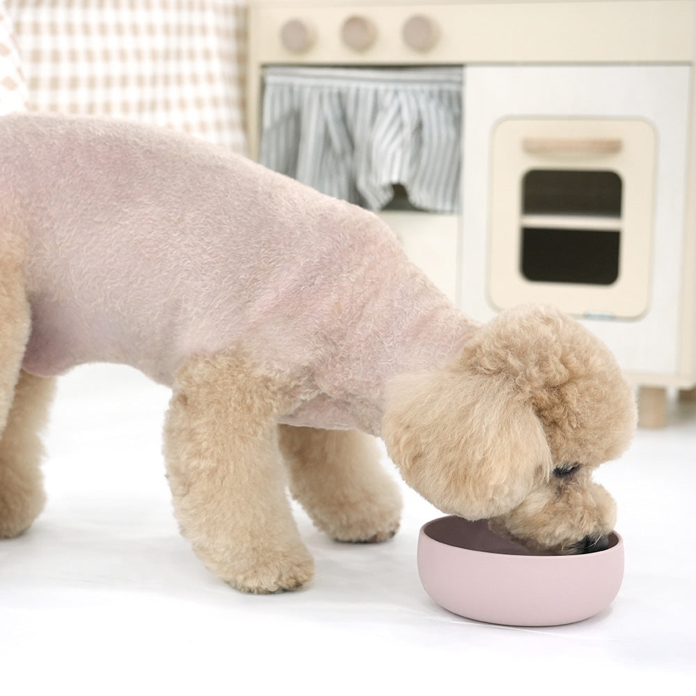 Silicone Pet Bowl