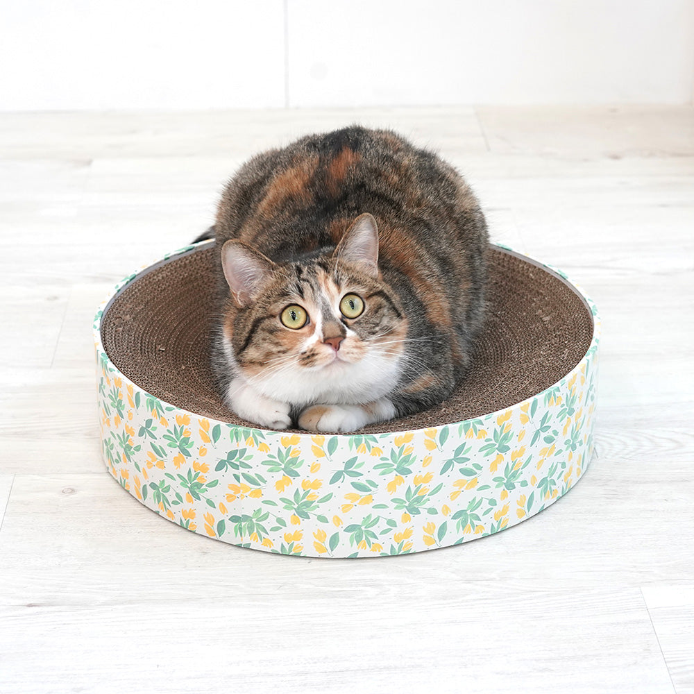 Pariscat Circle Scratcher
