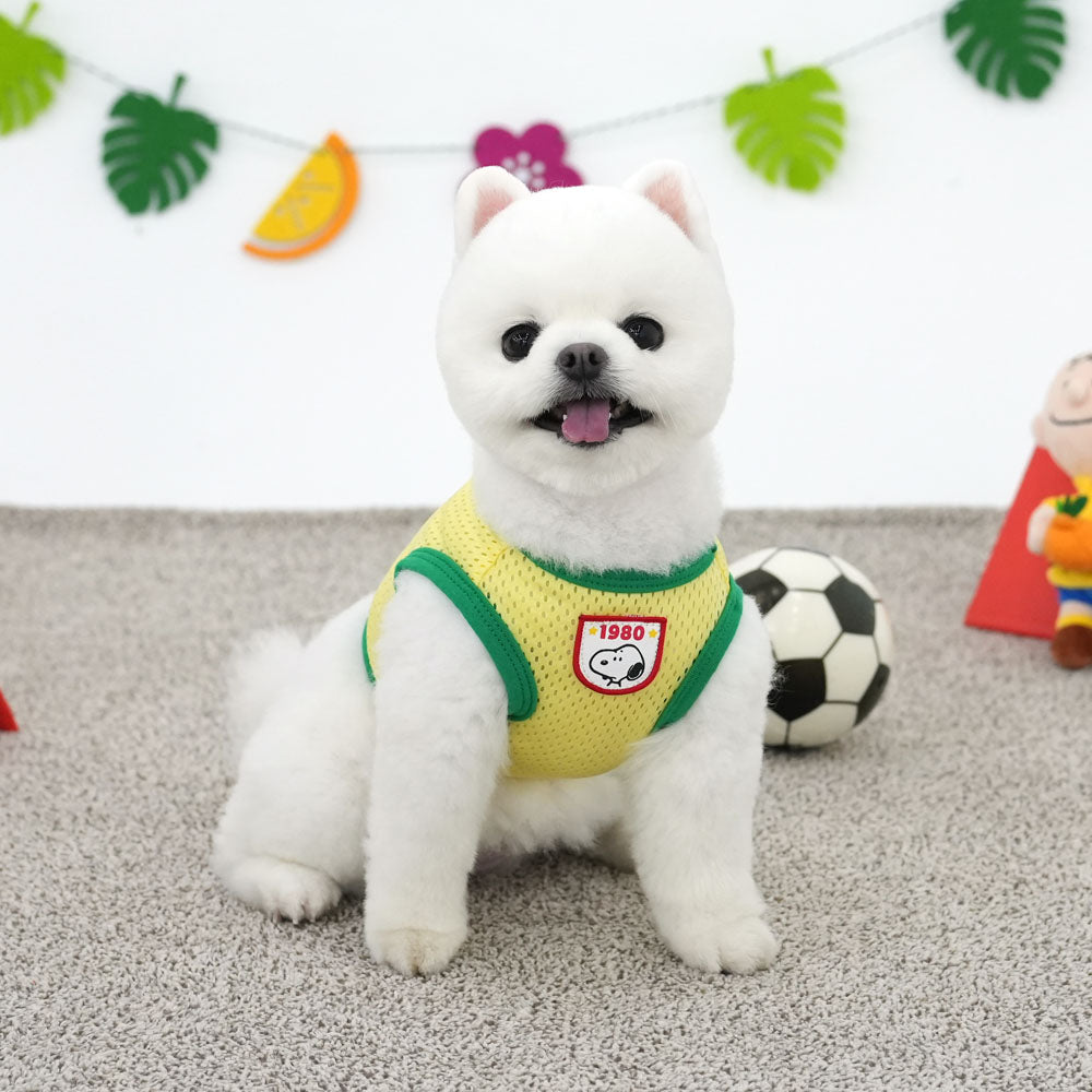 Peanuts Sporty Crop T