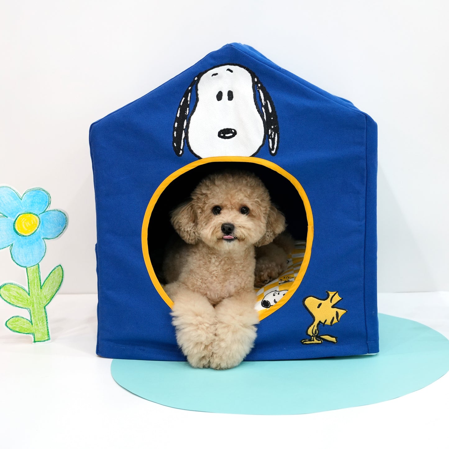 Peanuts Placid Frame House