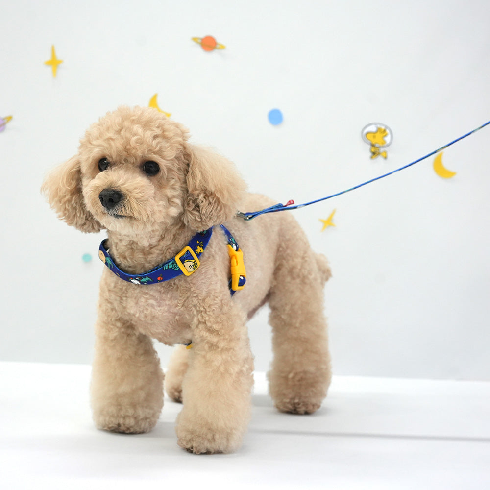 Peanuts Theme Harness