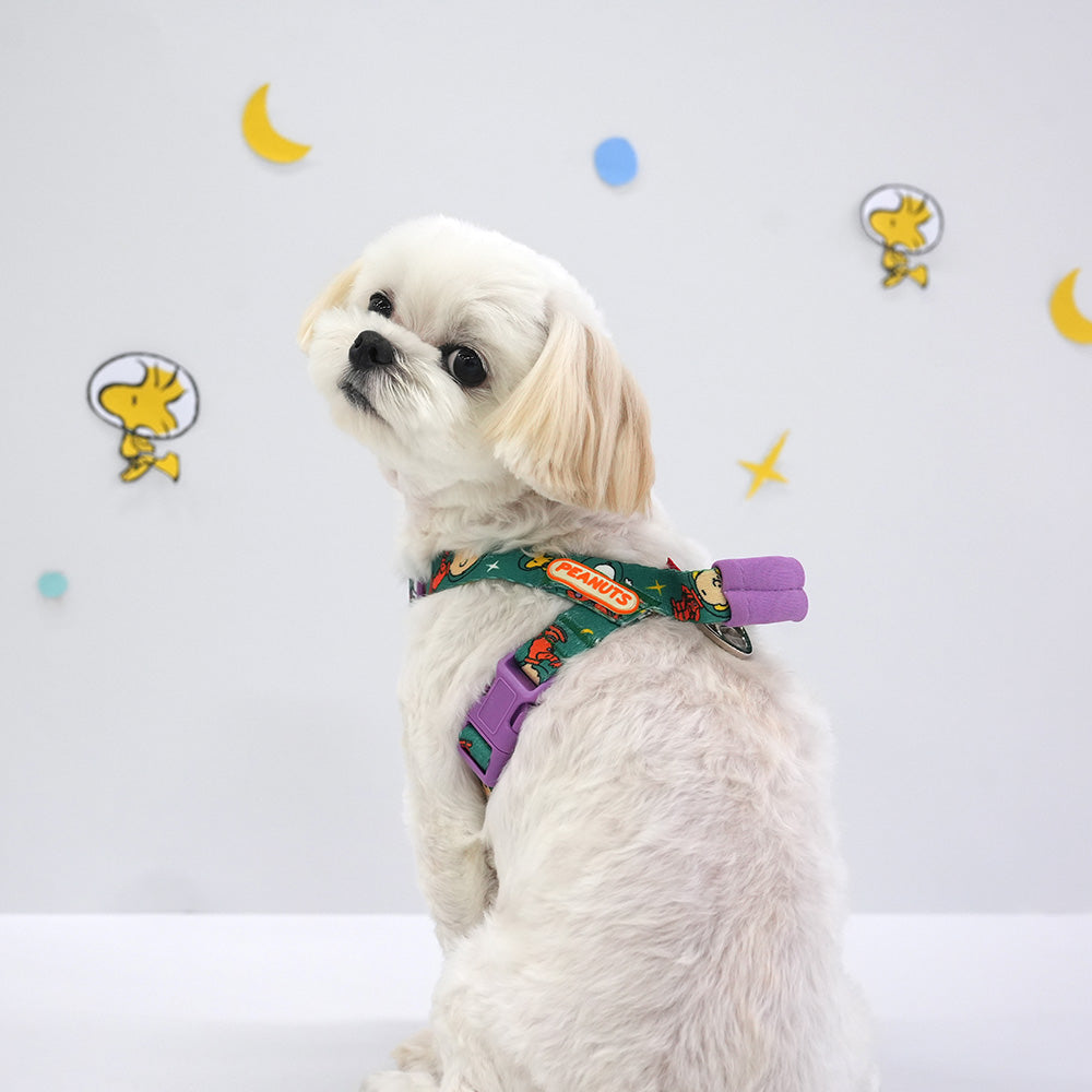 Peanuts Theme Harness