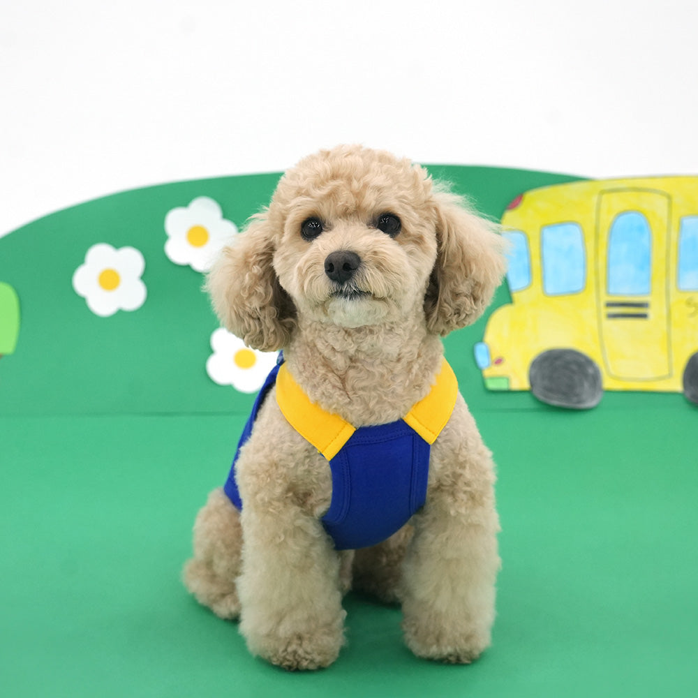 Color Shoulder T-Shirt