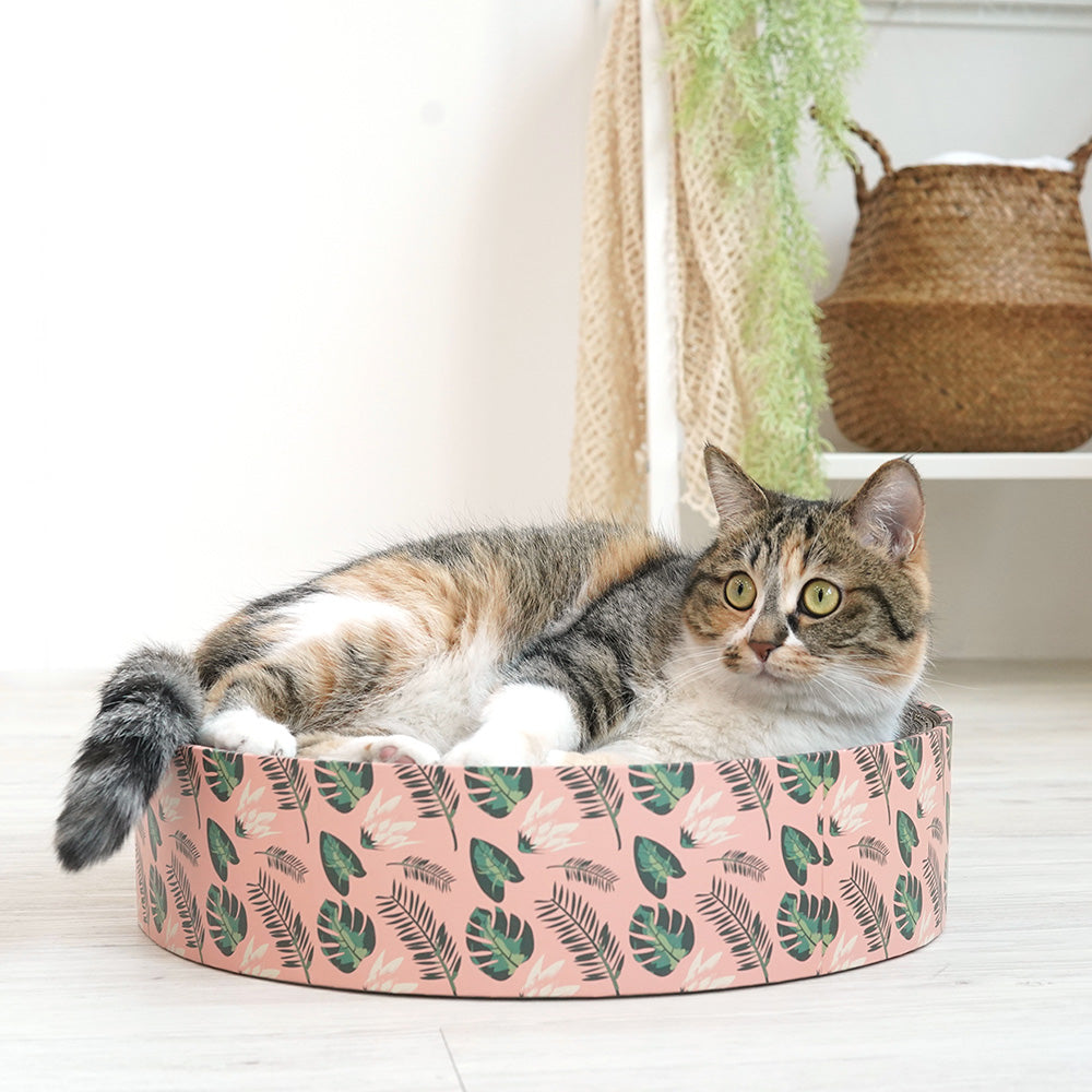 Pariscat Circle Scratcher