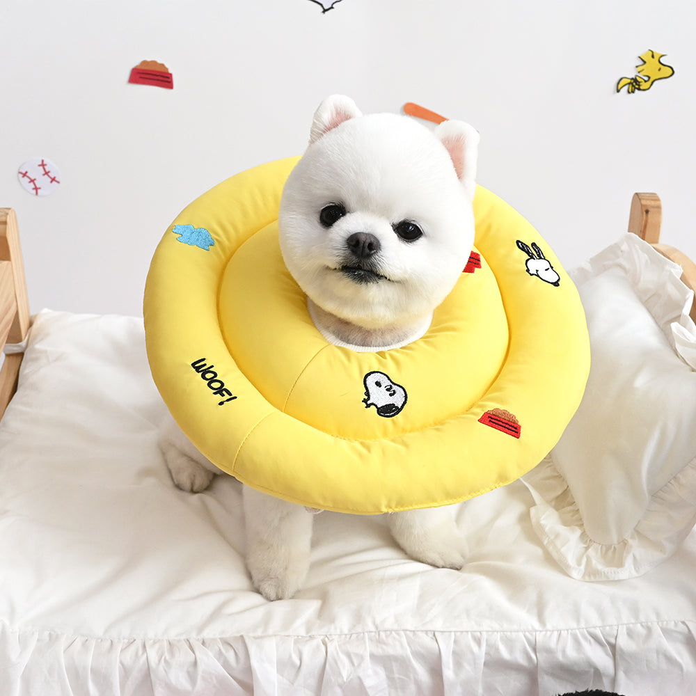 Peanuts Icon Neck Collar
