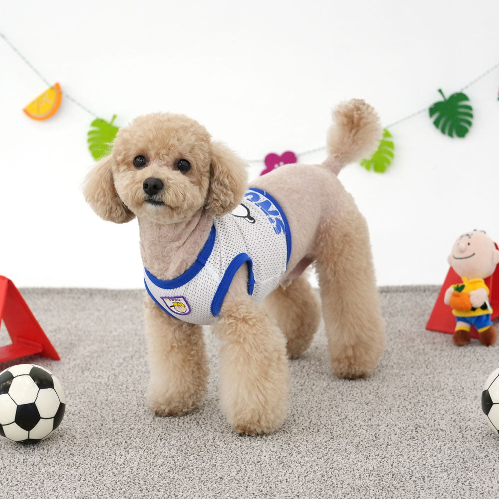 Peanuts Sporty Crop T