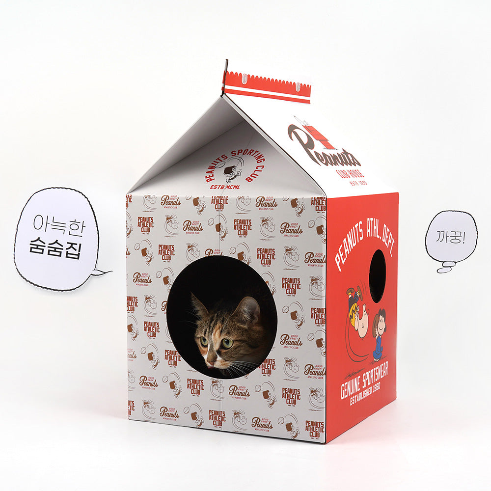 Peanuts Box Scratcher