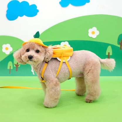 Kindergarten Backpack Harness Set