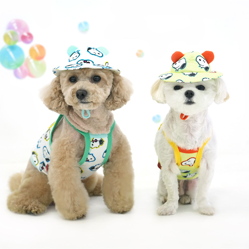 Peanuts Bubble Mesh Crop T-Shirt Set