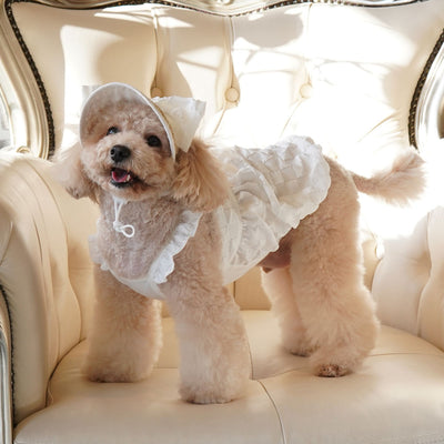 Popcorn Volume Pumpkin Dress Set (Including Hat)