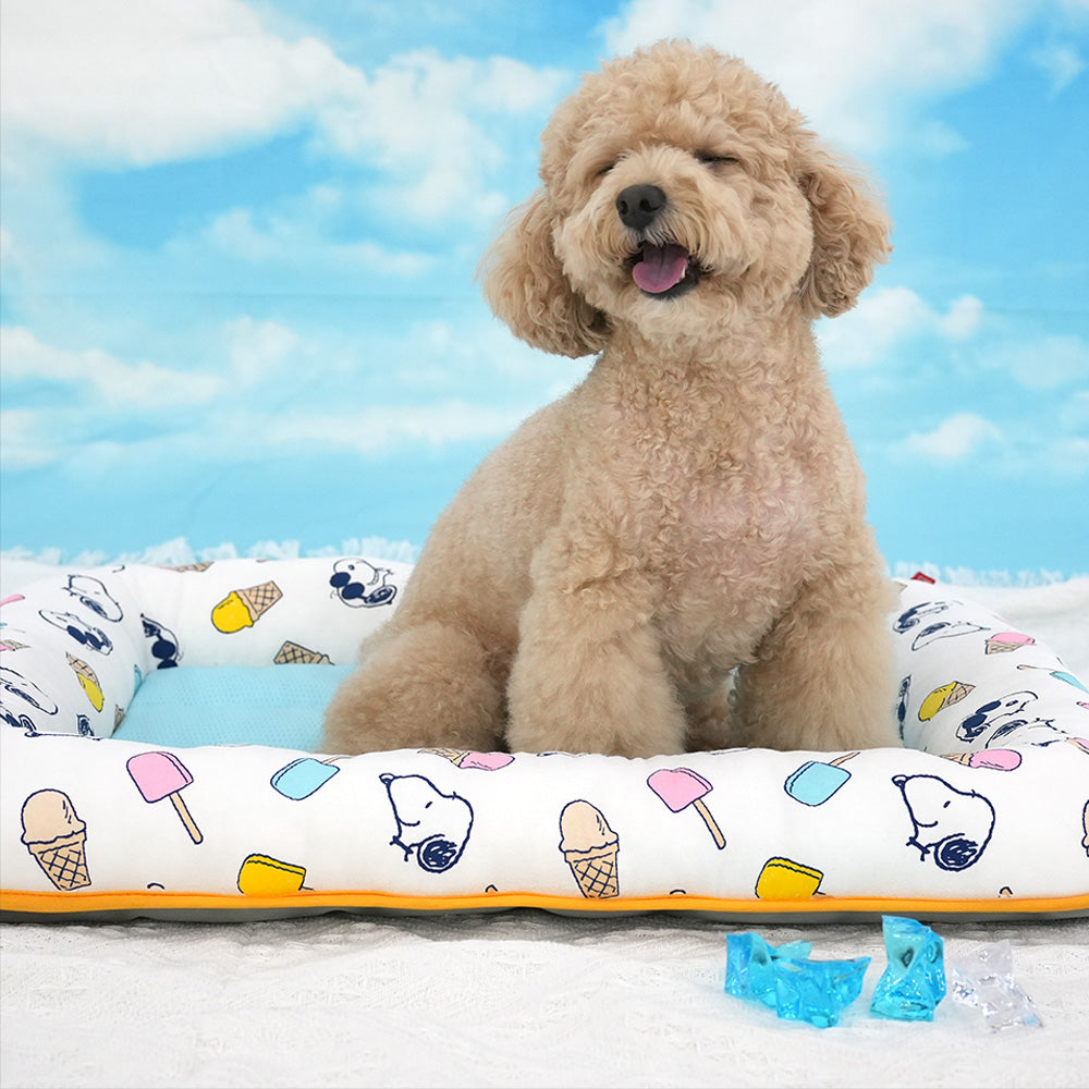 Peanuts Popsicle Cool Flat Bed