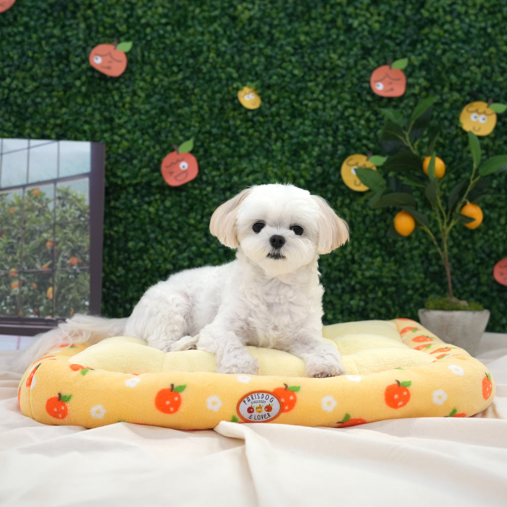 Tangerine Bed