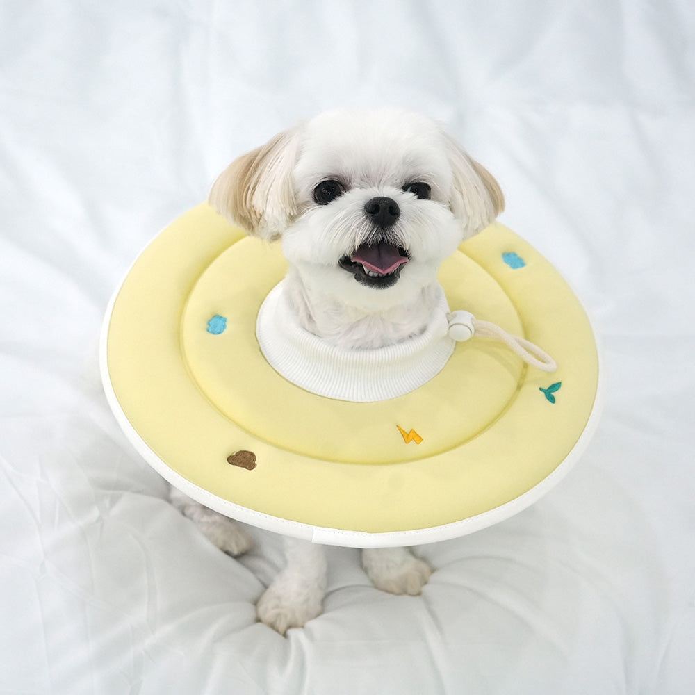 Espoir Sponge Neck Collar