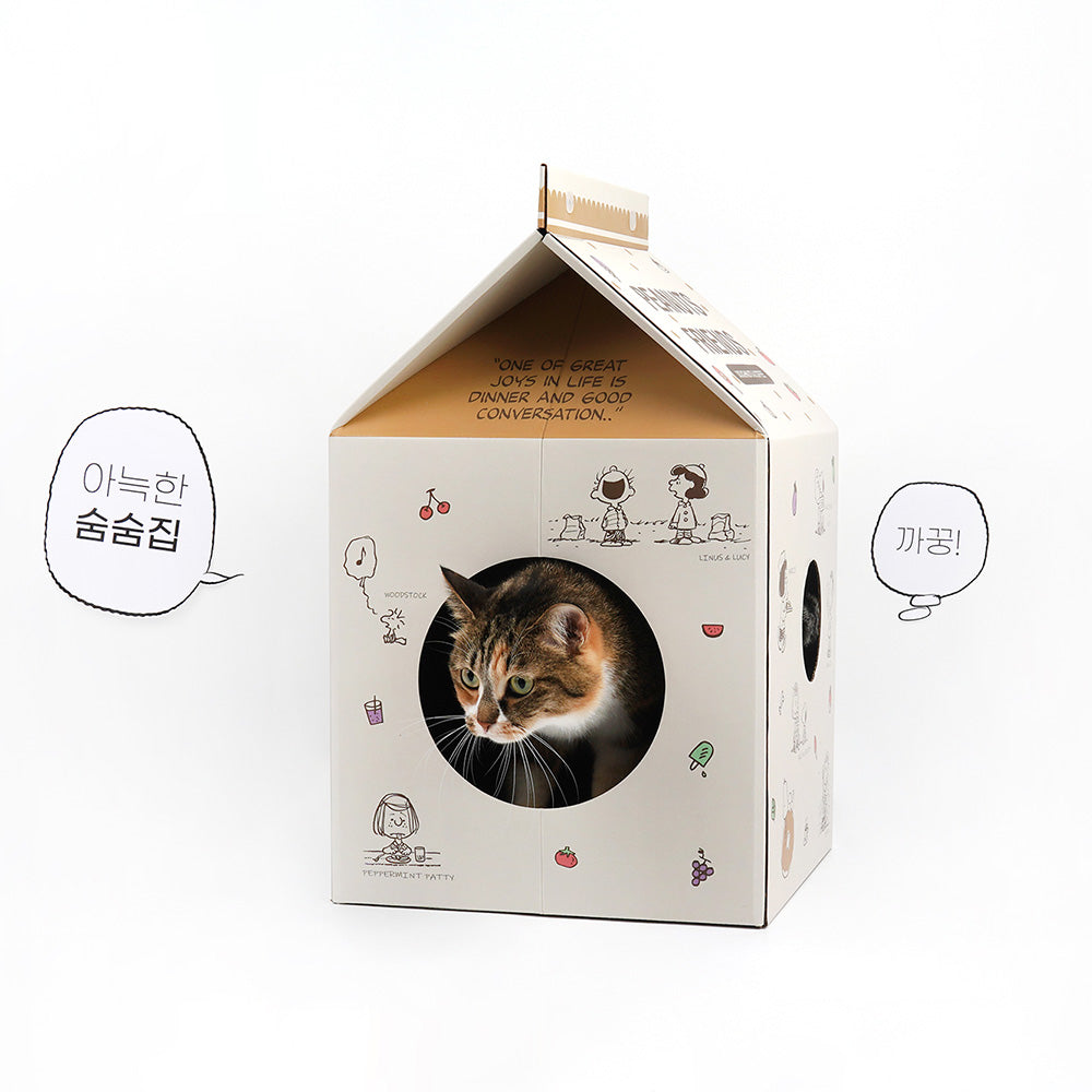 Peanuts Box Scratcher