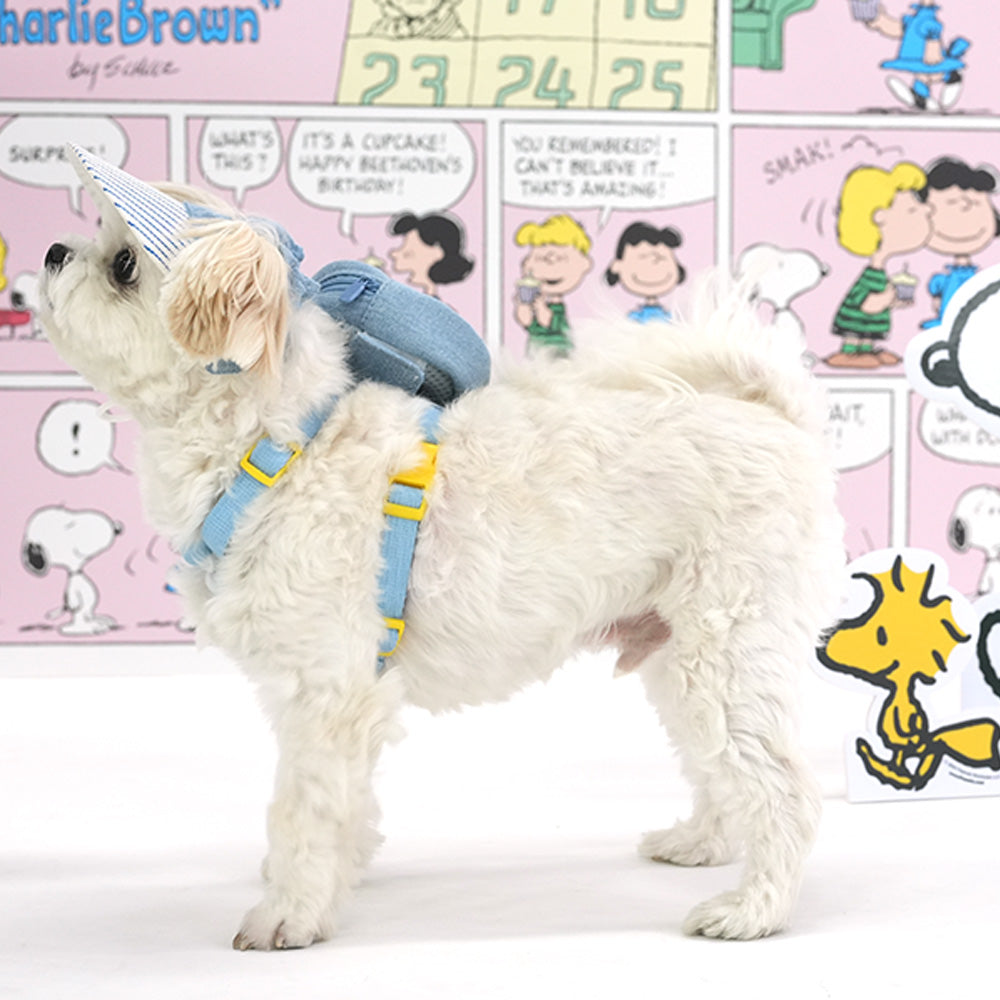 Peaanuts Denim 2Way Backpack Harness Set