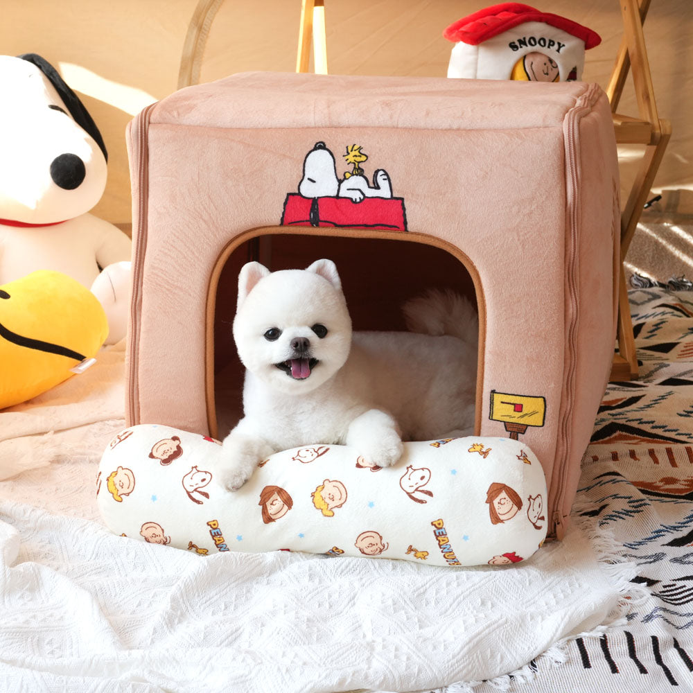 Peanuts Cube House