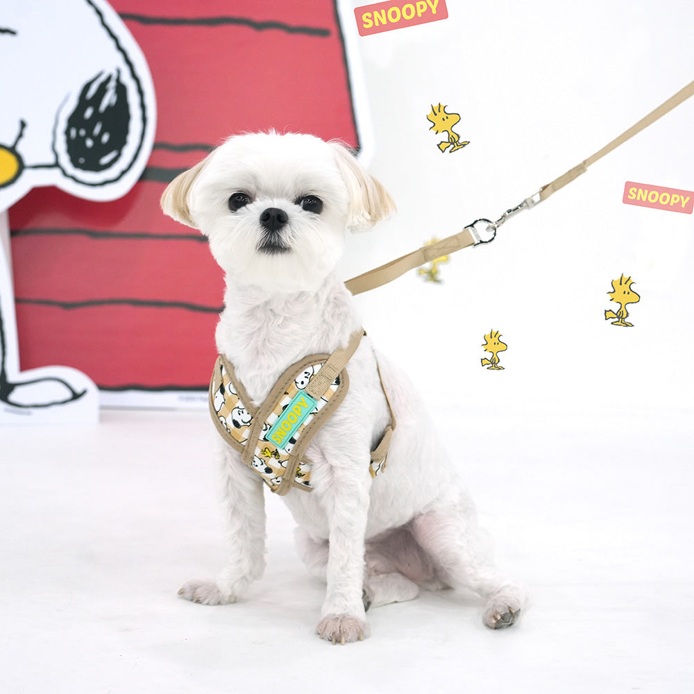 Peanuts Picnic X Harness