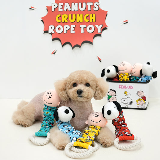 Peanuts Crunch Rope Toy