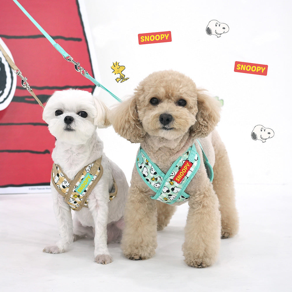 Peanuts Picnic X Harness