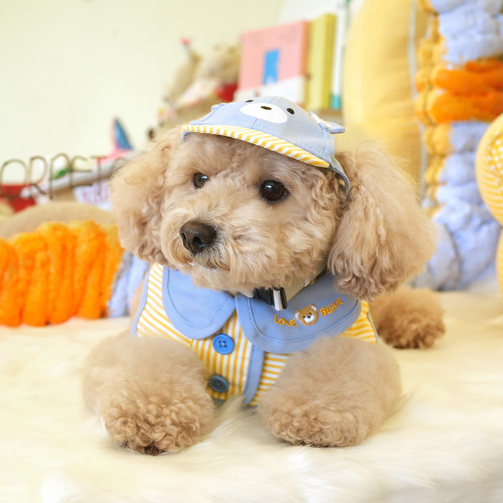 Bear Cape & Ball Cap Set