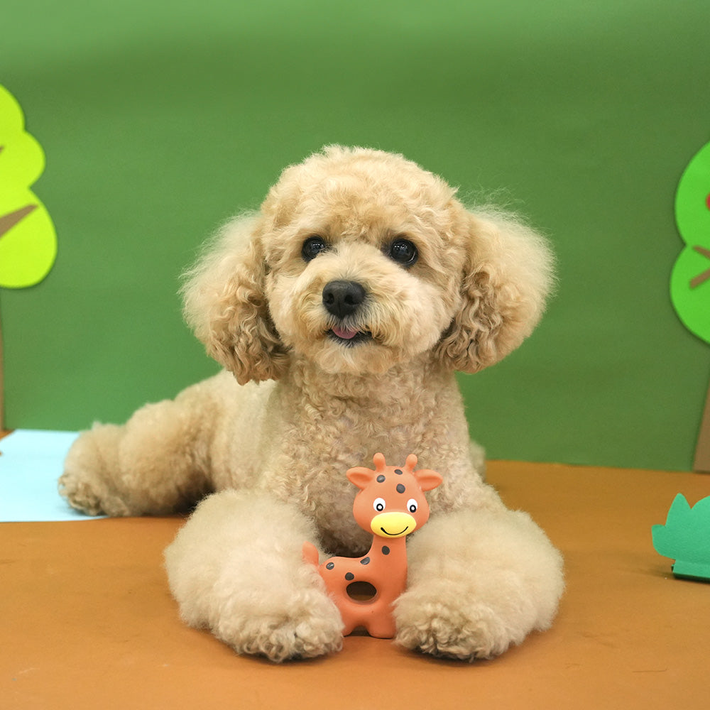 Animal Family Latex Toy