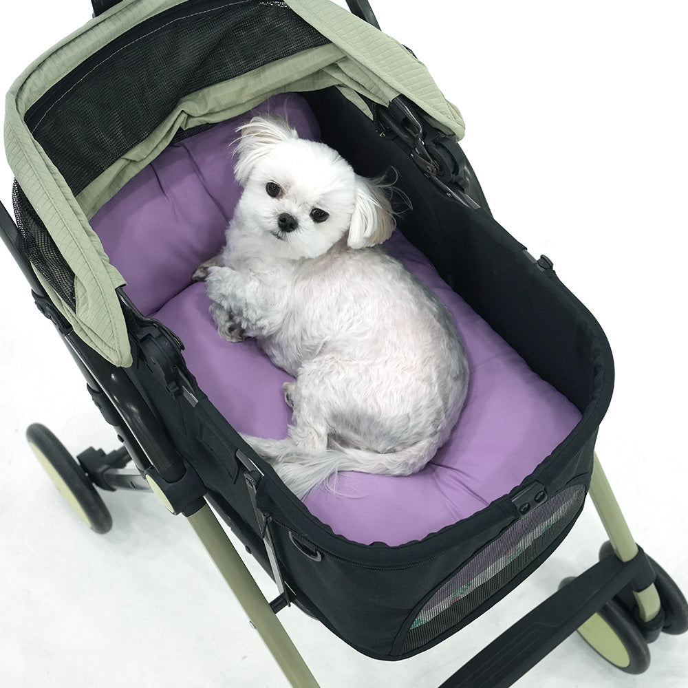 Purple Forest Cool Multi Cushion