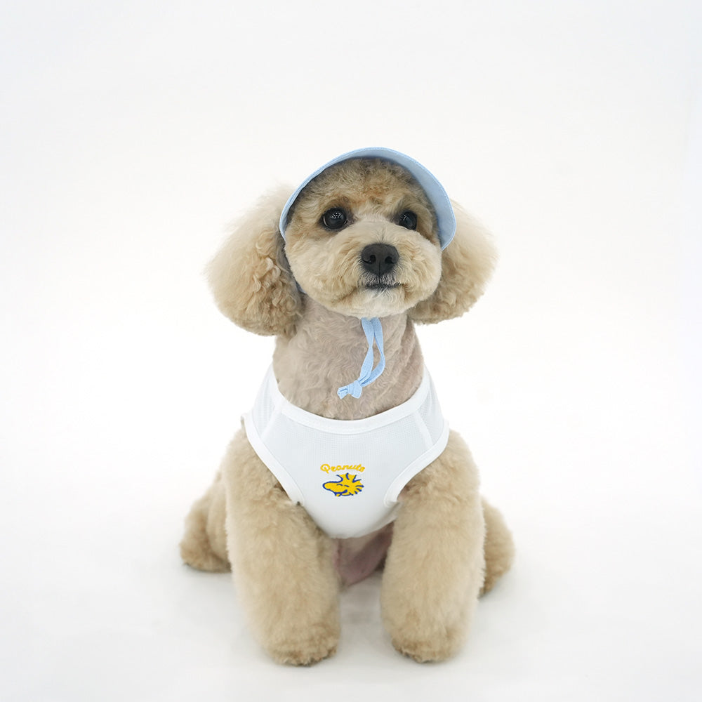 Peanuts Vintage California Cool T-Shirt Set