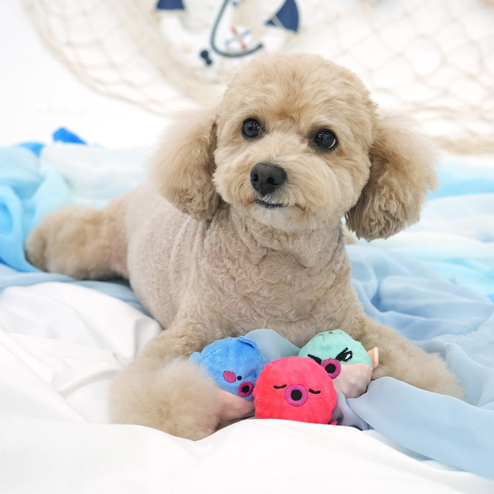 Peel-Off Ocean Ball Toy