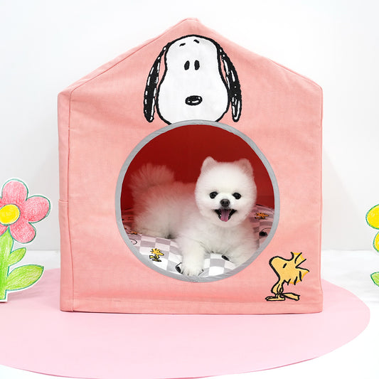 Peanuts Placid Frame House