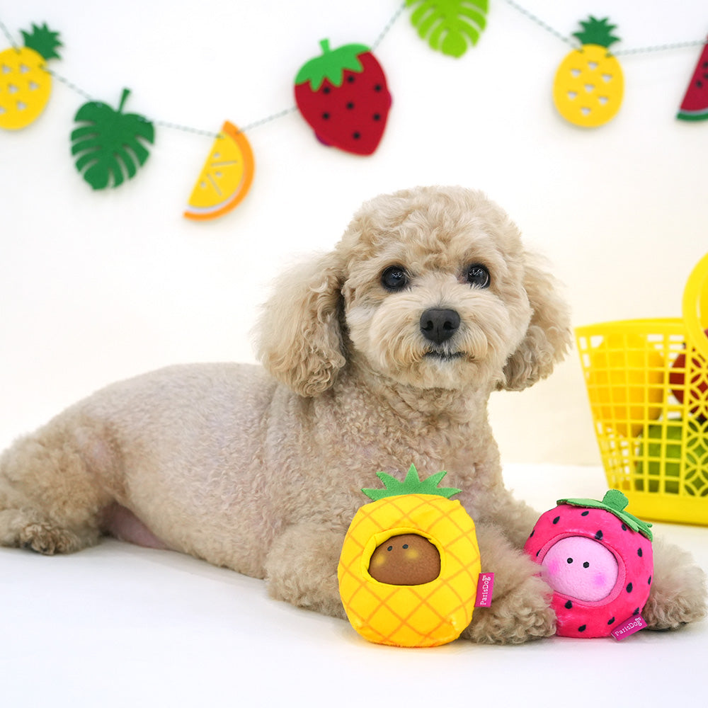 Combo Latex Snack Play Toy