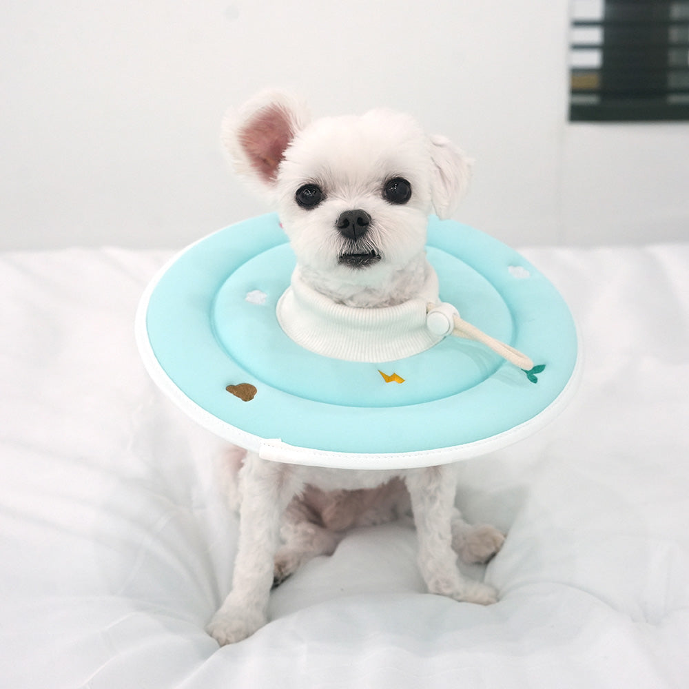 Espoir Sponge Neck Collar