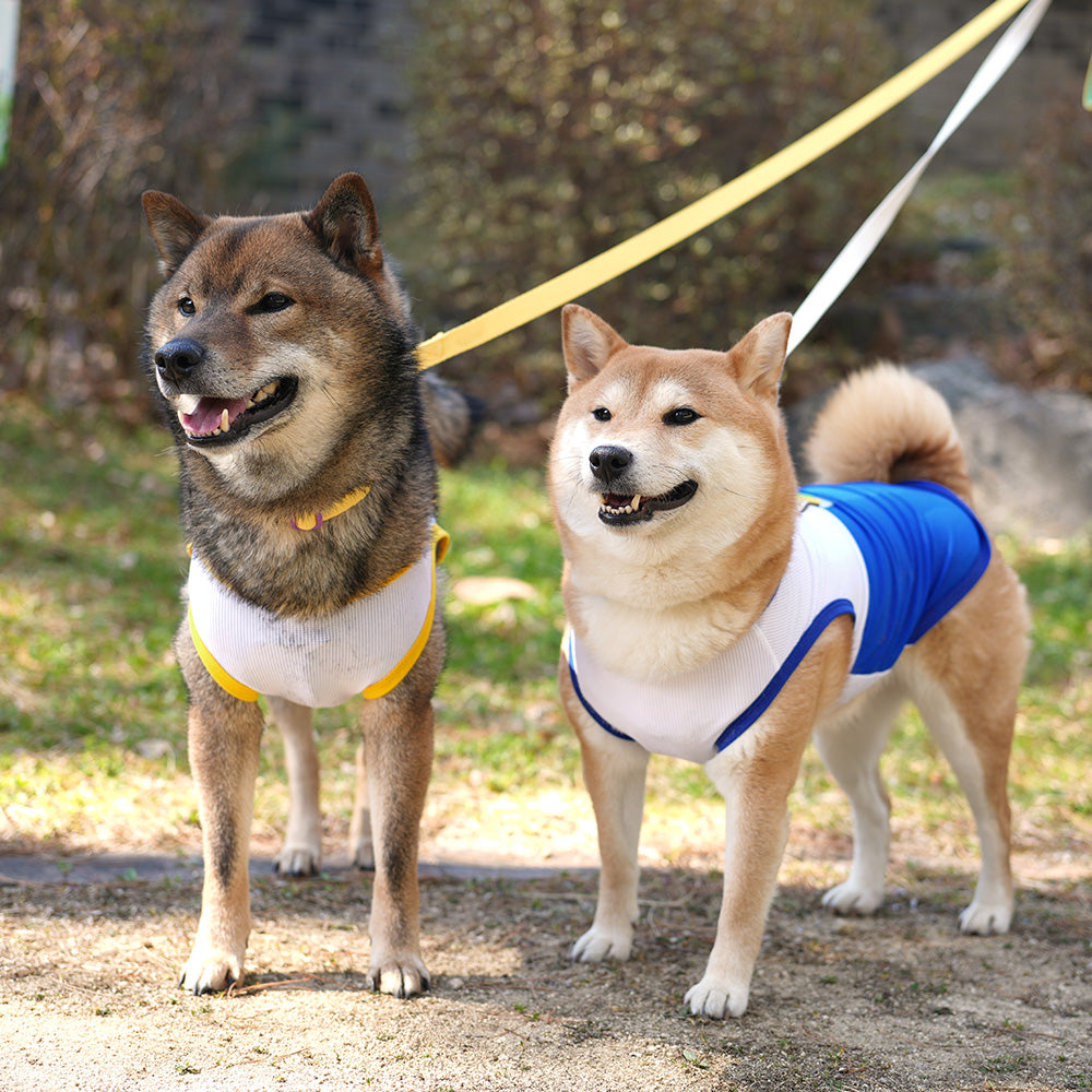 Mountain Ranger Cool Mesh  Tee Set