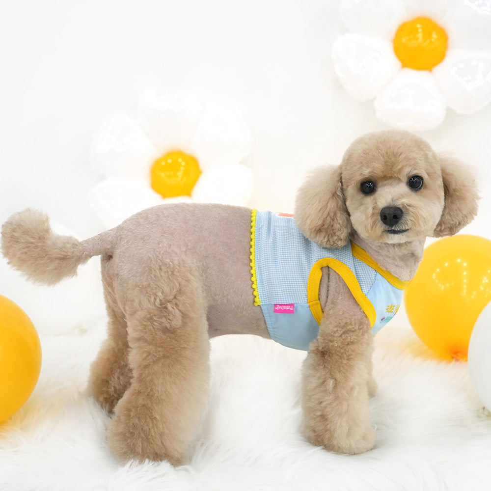 Smile Flower Crop T Shirt