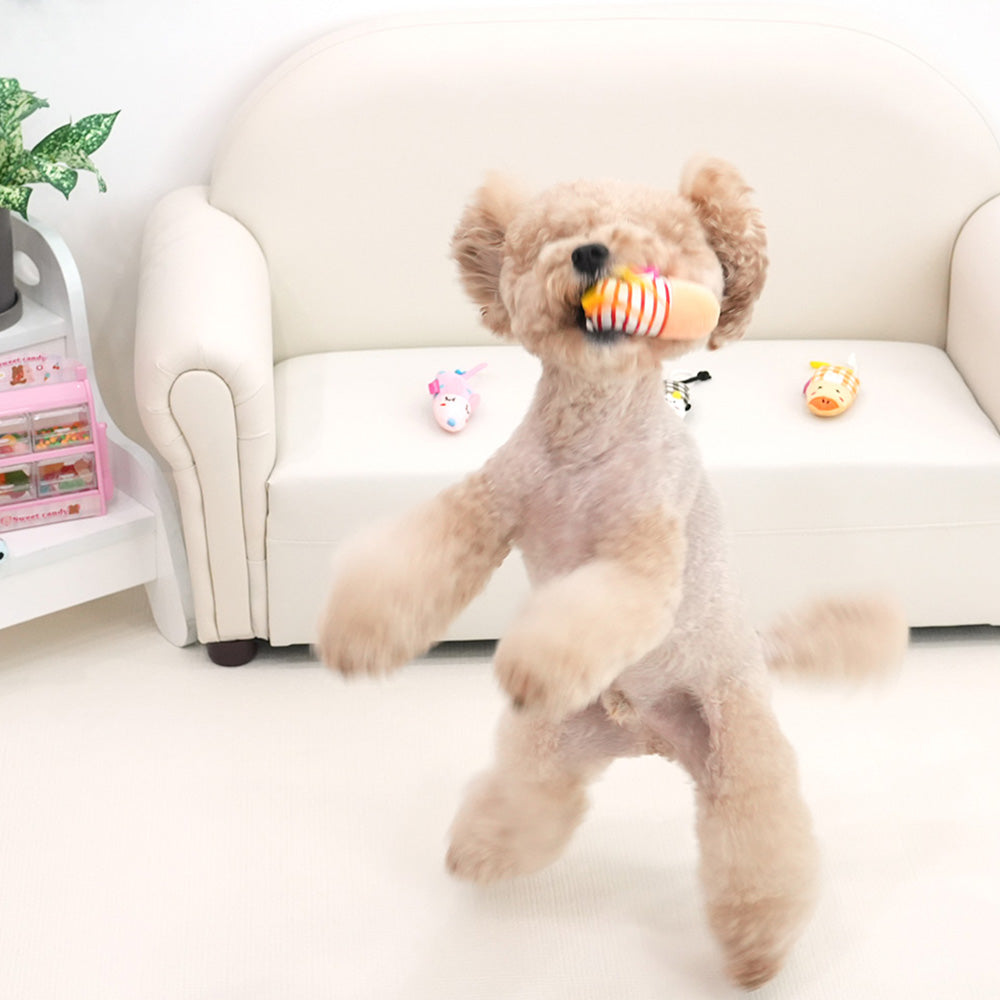 Interest Awaken Toy 2